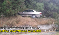 Bursa-Bozüyük yolunda ağaca çarpan araçtaki aile yaralandı