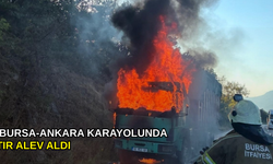 Bursa-Ankara Karayolunda tır alev aldı