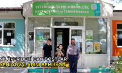 Nilüfer'deki can dostlar yeni yuvalarını bekliyor