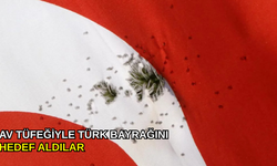 Av tüfeğiyle Türk Bayrağını hedef aldılar