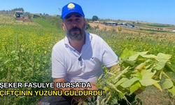 Şeker fasulye Bursa'da çiftçinin yüzünü güldürdü!