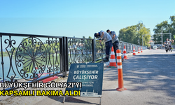 Büyükşehir Gölyazı'yı kapsamlı bakıma aldı