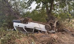 İnegöl'de ağaca çarpan otomobilde 8 yaralı