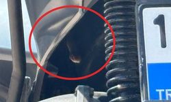 İnegöl'de motorun içine yılan girdi