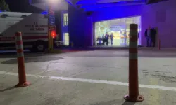 Mudanya’da yürek yakan kaza: Belediye çalışanı yaşamını yitirdi