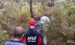 Aylardır Kayıptı, Ormanda Bulundu