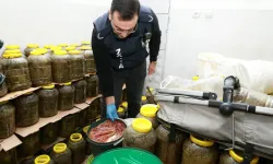 Bursa’da depodan tonlarca küflü gıda çıktı!