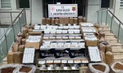 Bursa’da kaçak sigara operasyonu! 2 kişi tutuklandı