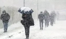 Türkiye'nin doğusunda kar alarmı