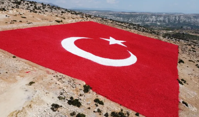 Mersin'de 22 dönümlük araziye Türk Bayrağı işlediler