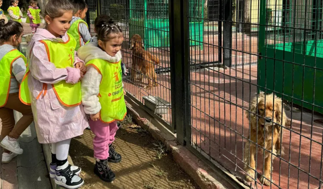 Osmangazi Belediyesi sahipsiz hayvanlar merkezi, 2 binin üzerinde öğrenciyi ağırladı