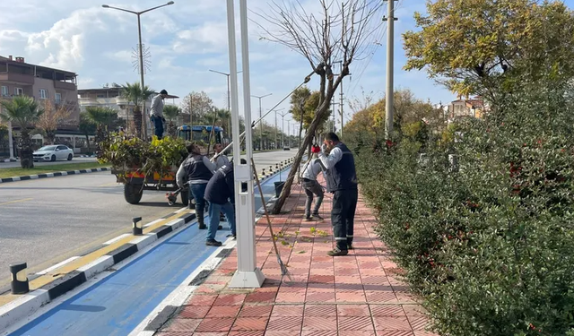 Manisa’da ağaç budama çalışmaları tamamlandı