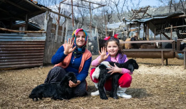 300 yetiştiriciye 7 bin 500 küçükbaş hayvan desteği