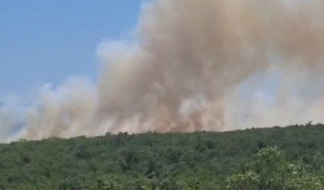 Bursa'da orman yangını! Havadan ve karadan müdahale...