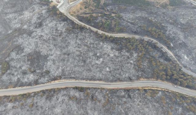 Bursa'daki yangının boyutu, gün ağarınca ortaya çıktı