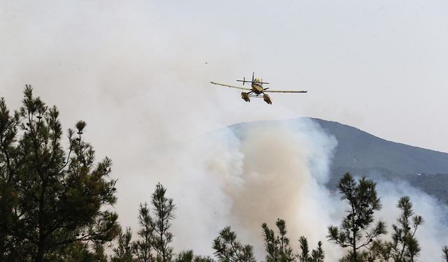 5 ilde alevlerle mücadele sürüyor
