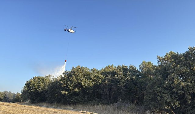 Çanakkale ve İzmir'deki orman yangınları kontrol altında