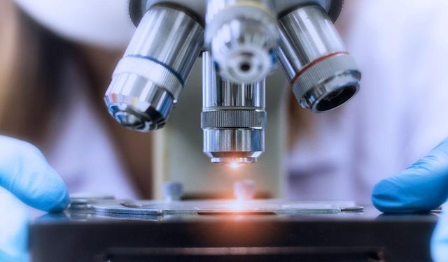 AR-GE'ye geçen yıl 651,8 milyar lira harcandı