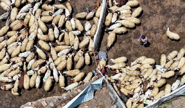 Tarımda dijital dönüşümle gençler çiftçiliğe teşvik edilecek