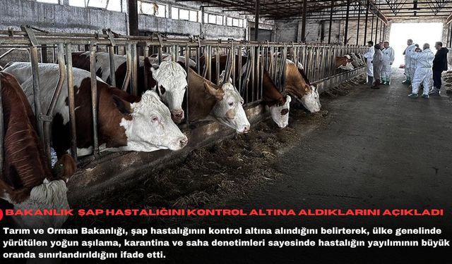 Bakanlık  şap hastalığını kontrol altına aldıklarını açıkladı