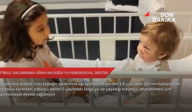 Pitbull saldırısına uğrayan Doğa'ya psikososyal destek