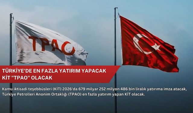 Türkiye'de en fazla yatırım yapacak KİT "TPAO" olacak