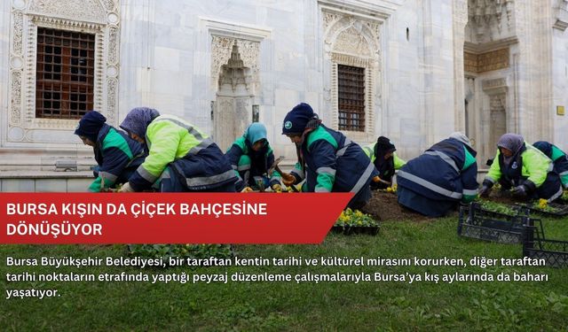 Bursa kışın da çiçek bahçesine dönüşüyor