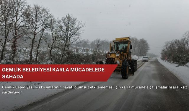 Gemlik Belediyesi karla mücadelede sahada