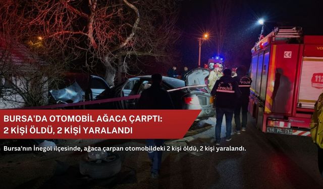 Bursa'da otomobil ağaca çarptı: 2 kişi öldü, 2 kişi yaralandı