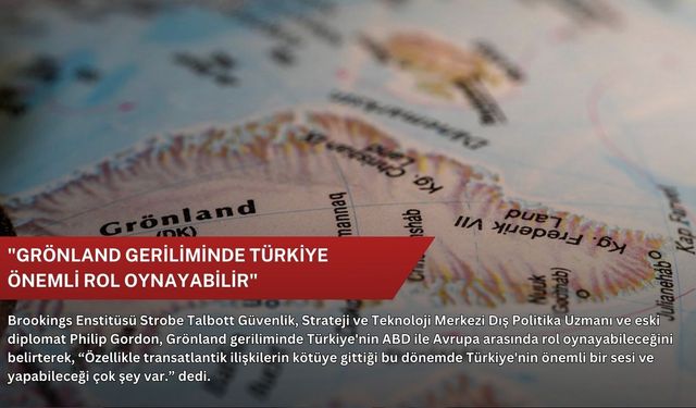 "Grönland geriliminde Türkiye önemli rol oynayabilir"