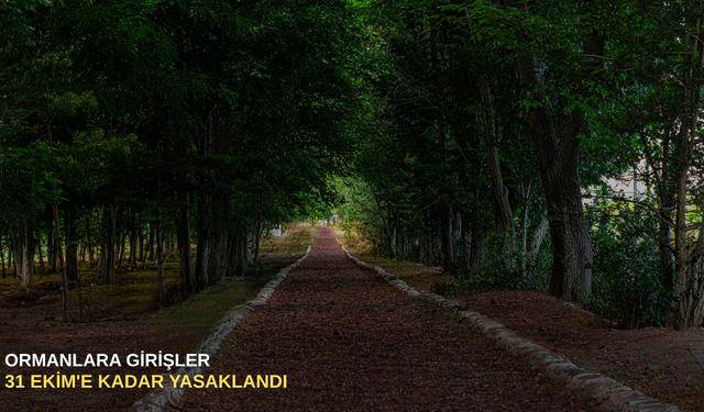 Ormanlara girişler 31 Ekim'e kadar yasaklandı