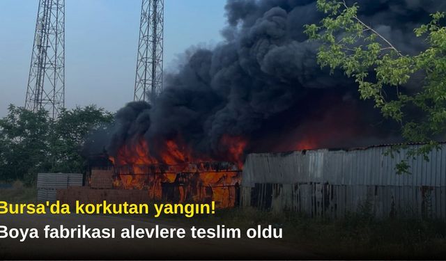 Bursa'da korkutan yangın! Boya fabrikası alevlere teslim oldu