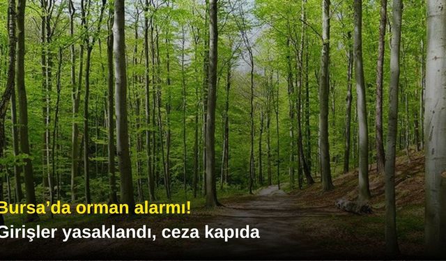 Bursa’da orman alarmı! Girişler yasaklandı, ceza kapıda