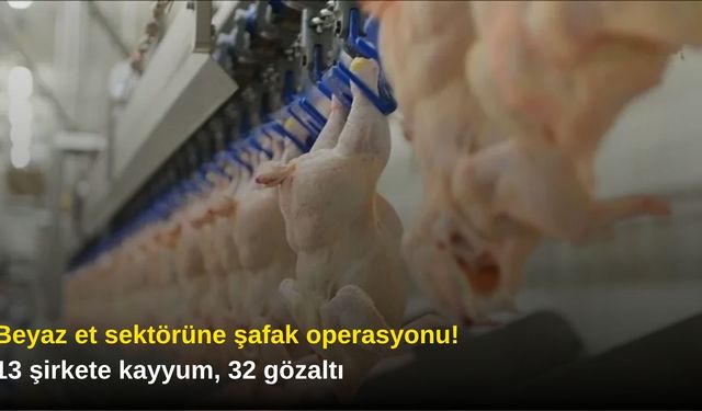 Beyaz et sektörüne şafak operasyonu! 13 şirkete kayyum, 32 gözaltı
