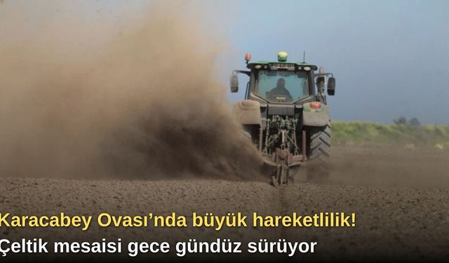 Karacabey Ovası’nda büyük hareketlilik! Çeltik mesaisi gece gündüz sürüyor