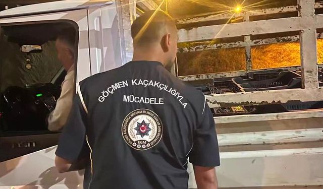 4 düzensiz göçmen yakalandı