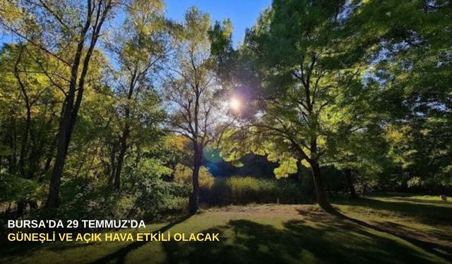 Bursa'da 29 Temmuz'da güneşli ve açık hava etkili olacak