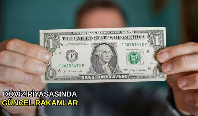 Döviz piyasasında güncel rakamlar