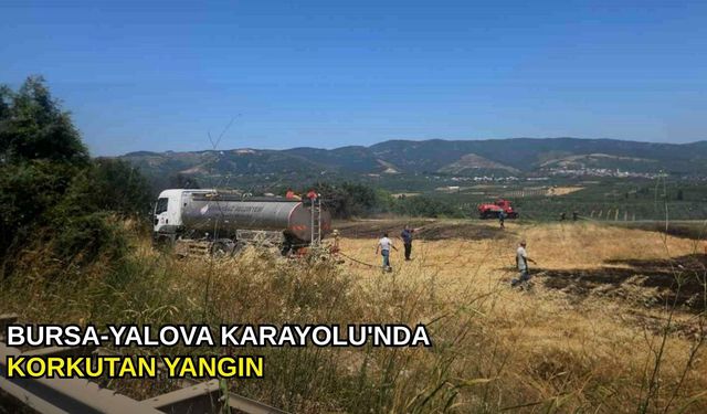 Bursa-Yalova Karayolu'nda korkutan yangın