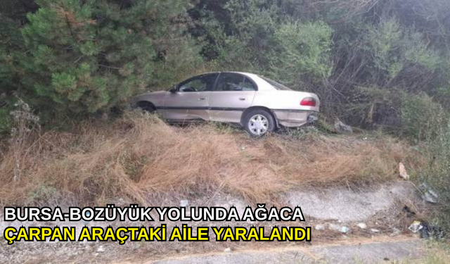 Bursa-Bozüyük yolunda ağaca çarpan araçtaki aile yaralandı
