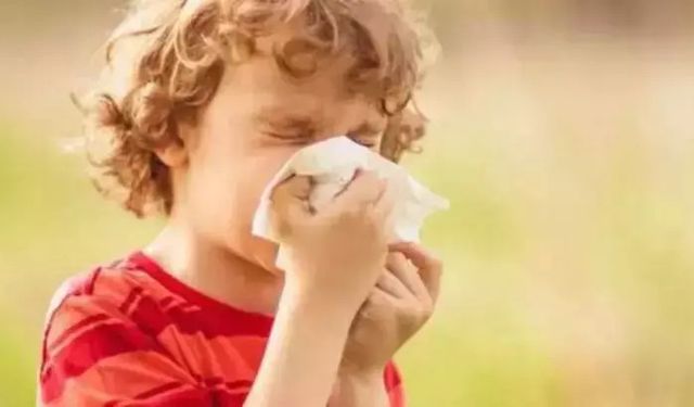 Alerjik çocuklar polenlerin yoğun olduğu saatlerde dışarı çıkmamalı