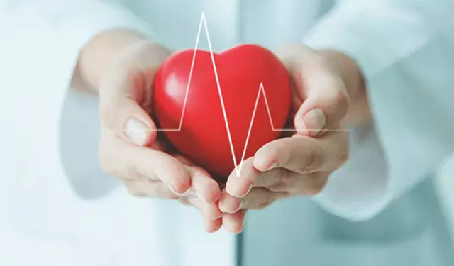 Meyve tüketimiyle kalp damar hastalıklarından korunmak mümkün