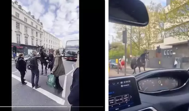 Süvari atları Londra’nın caddelerine kaçtı atlar dahil yaralılar var