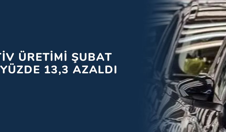 Otomotiv üretimi şubat ayında yüzde 13,3 azaldı