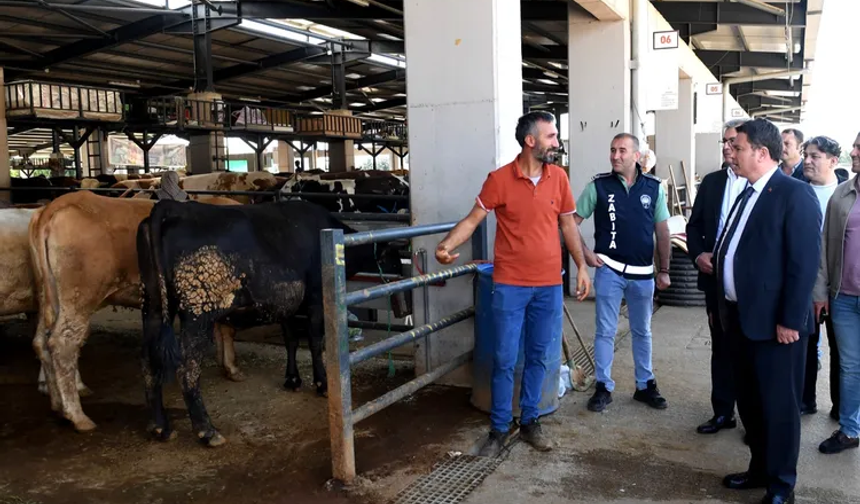 Osmangazi’de Kurban Pazarı Yoğunluğu