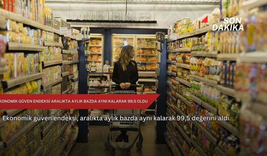 Ekonomik güven endeksi aralıkta aylık bazda aynı kalarak 99,5 oldu
