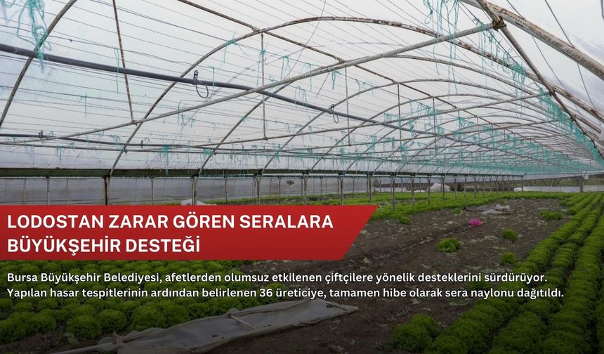 Lodostan zarar gören seralara Büyükşehir desteği