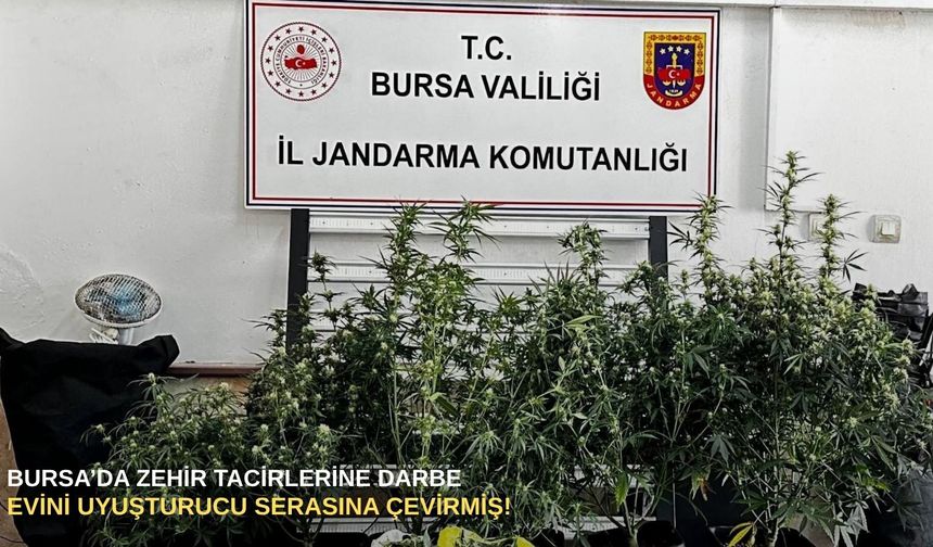 Bursa’da zehir tacirlerine darbe: Evini uyuşturucu serasına çevirmiş!