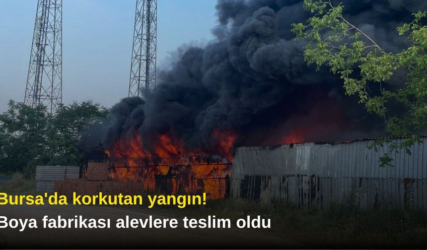 Bursa'da korkutan yangın! Boya fabrikası alevlere teslim oldu