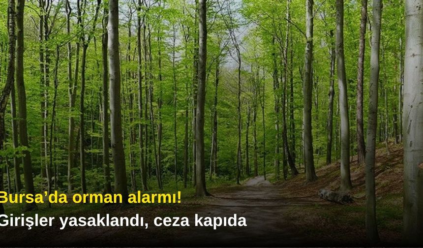 Bursa’da orman alarmı! Girişler yasaklandı, ceza kapıda